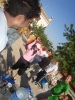 Filename=102.JPG
Filesize=51KB
Dimensions=450x600
Date added=May 20, 2009 102.JPG
