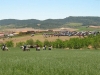 Filename=cIMG_3343.JPG
Filesize=79KB
Dimensions=800x600
Date added=May 24, 2009 cIMG_3343.JPG